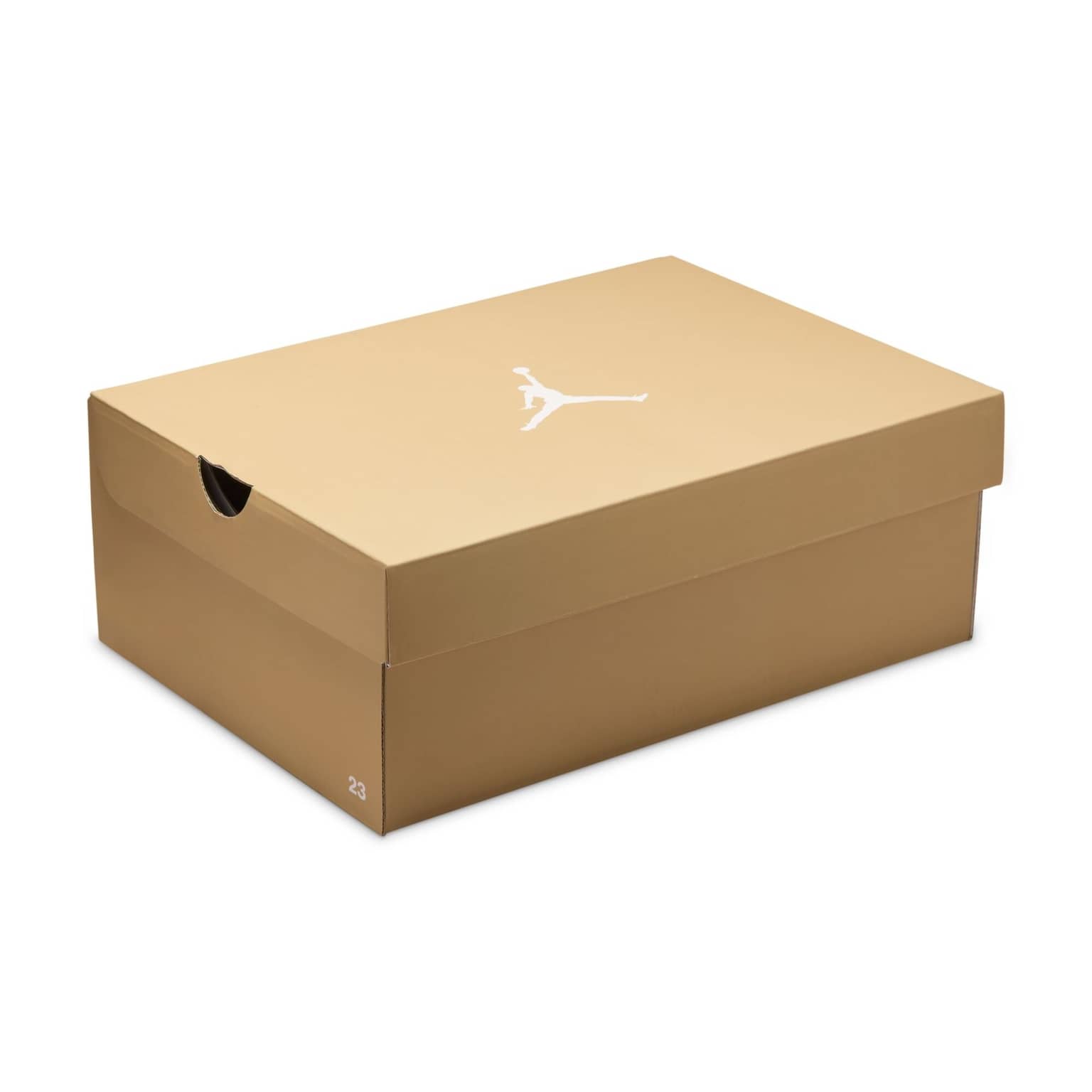 Air Jordan 1 Mid SE 10