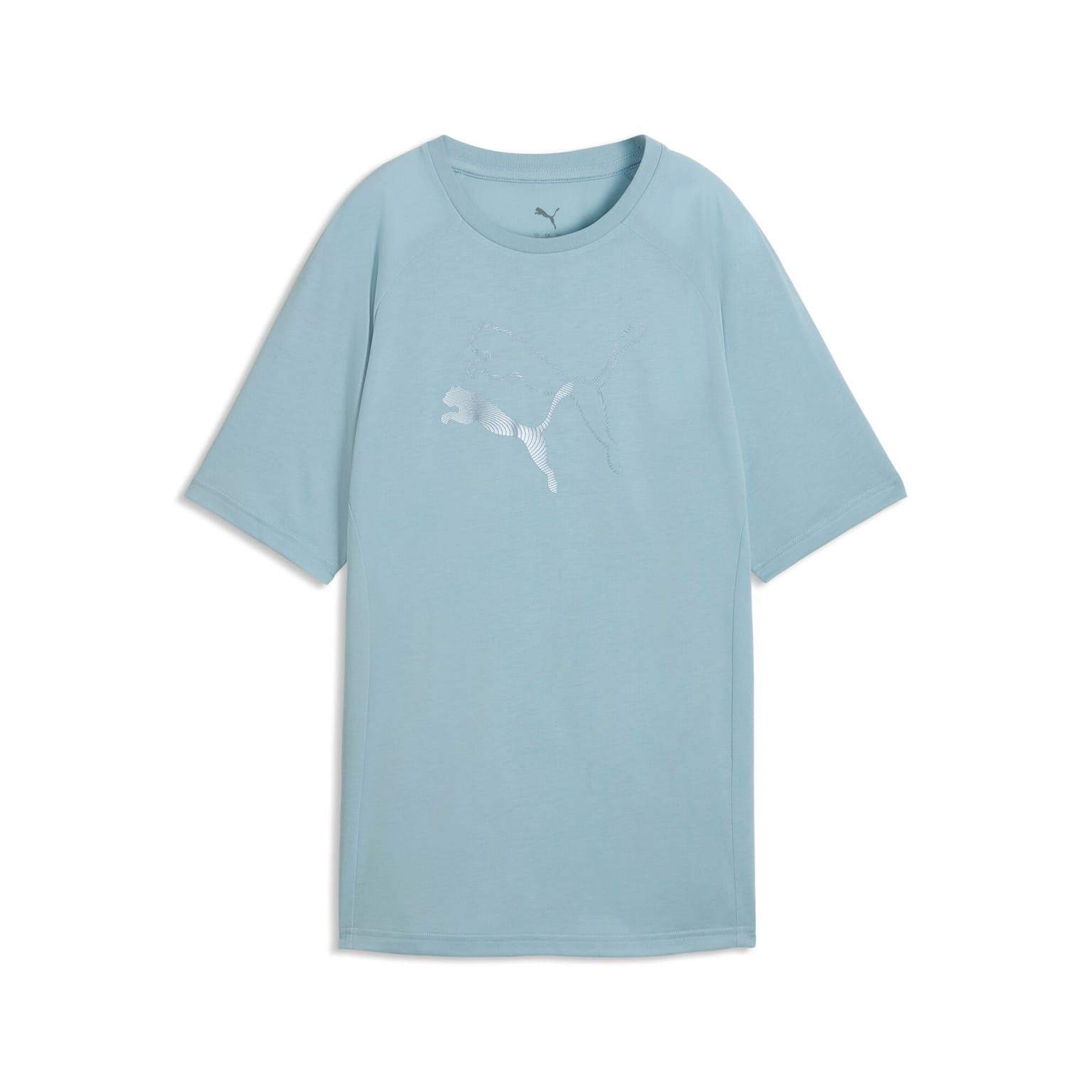 Puma Evostripe Relaxed Graphic